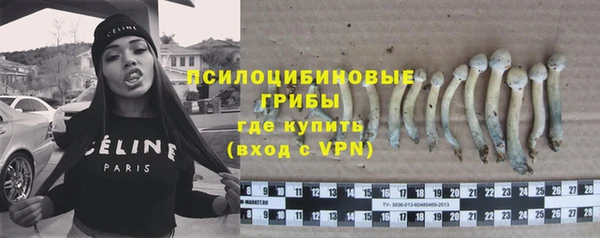 герыч Новозыбков