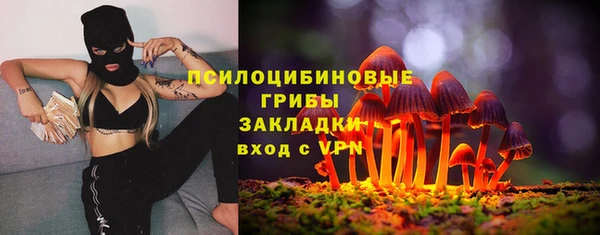 mdpv Новокубанск