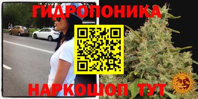 прущая мука Лесосибирск