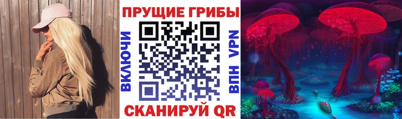 как найти закладки Холмск Галлюциногенные грибы Magic Shrooms
